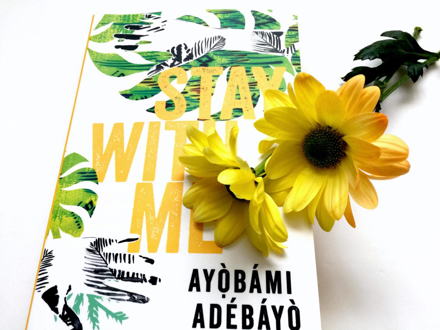 Stay with Me: the heartbreaking tale of a woman, interrupted