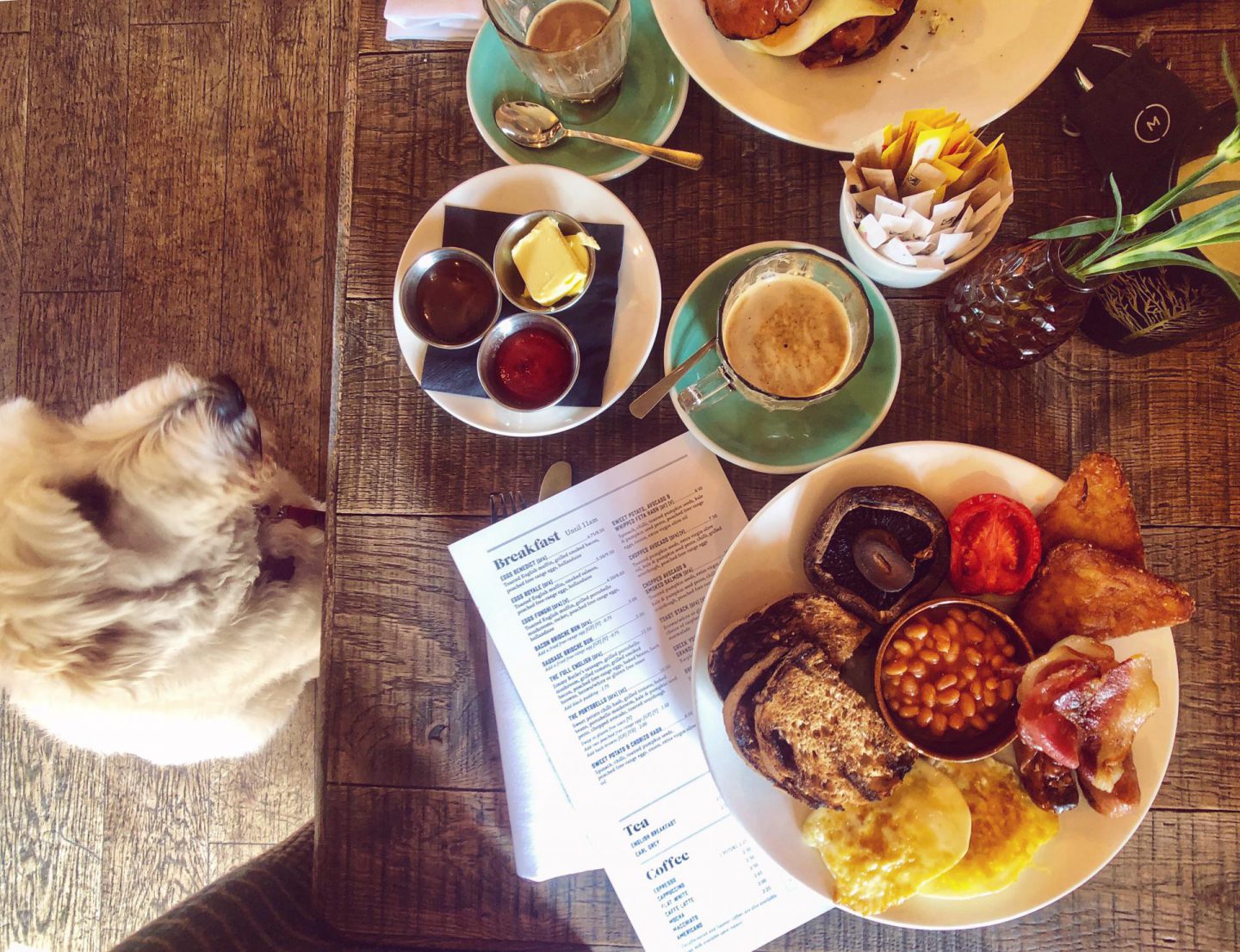 Doggie’s day out: Breakfast with a view at The Navigation Inn