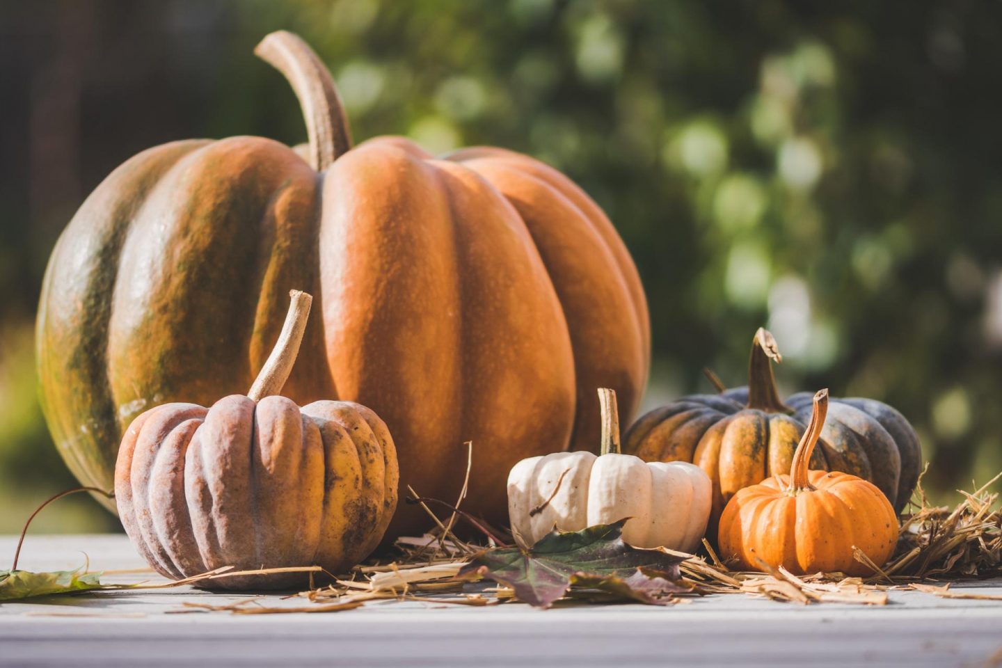 Why pumpkins are good for your health