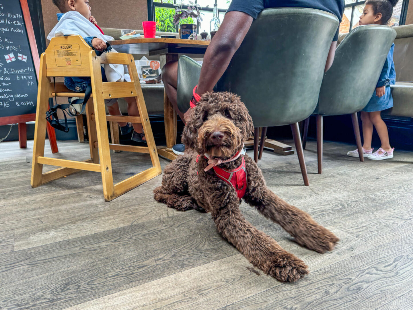 Pup’s first Brunch at The Woburn